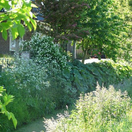 De Wylgepleats Bed and Breakfast Jutrijp Εξωτερικό φωτογραφία